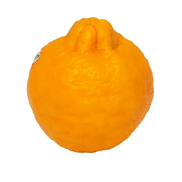 Mandarin Summerlina