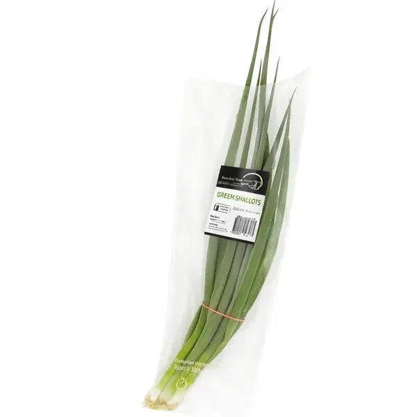 Hydro Tech Green Shallots