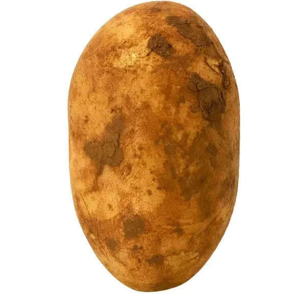 Potato Brushed
