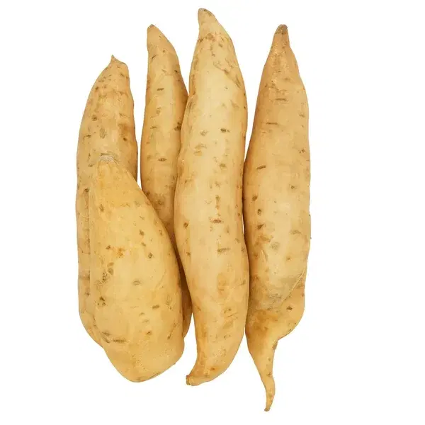 Sweet Potato White