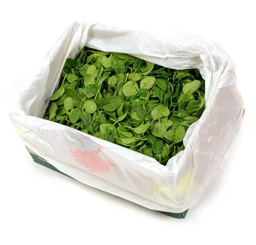 Baby Spinach Leaves