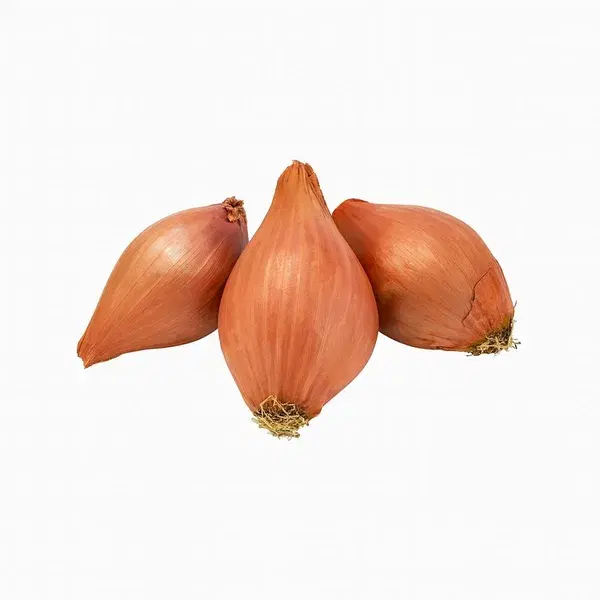 Shallot Onions