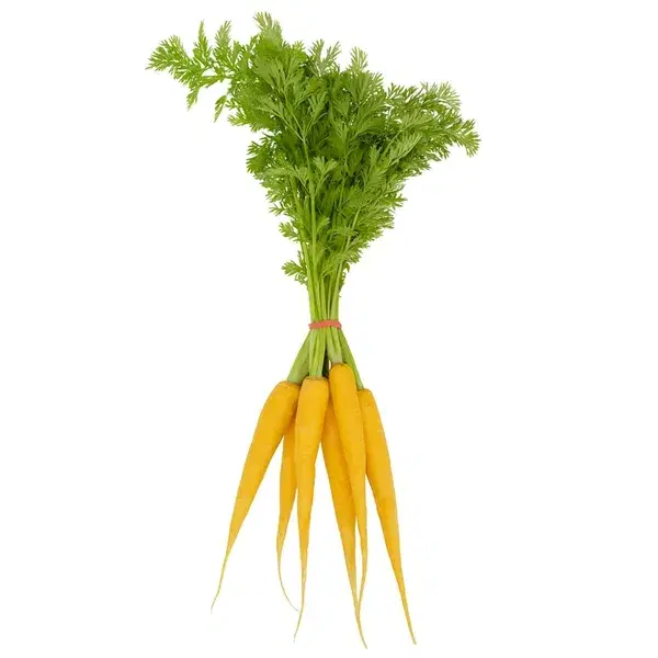 Dutch Yellow Carrot
