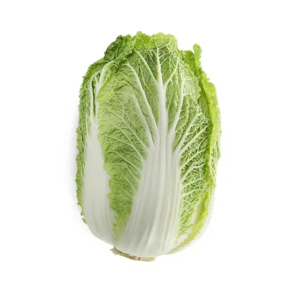 WOMBOK