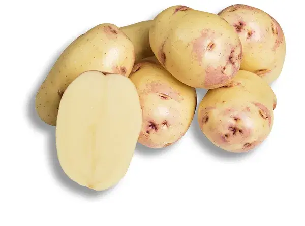 Kestral Potato