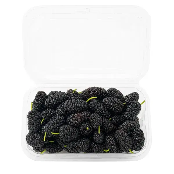Mulberries