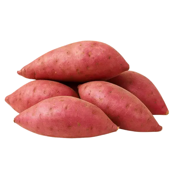 SWEET POTATO RED