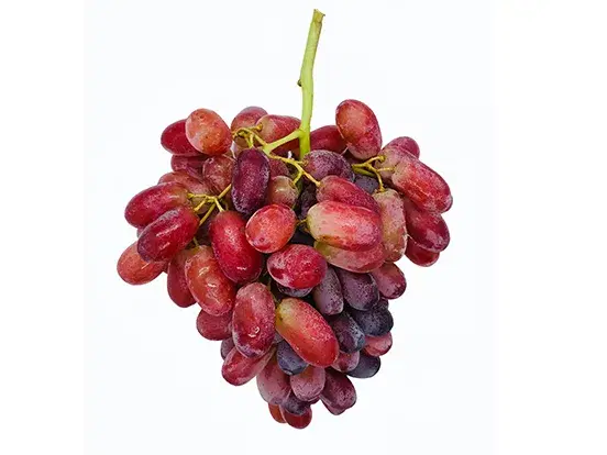 RED GRAPES SCARLET ROYAL
