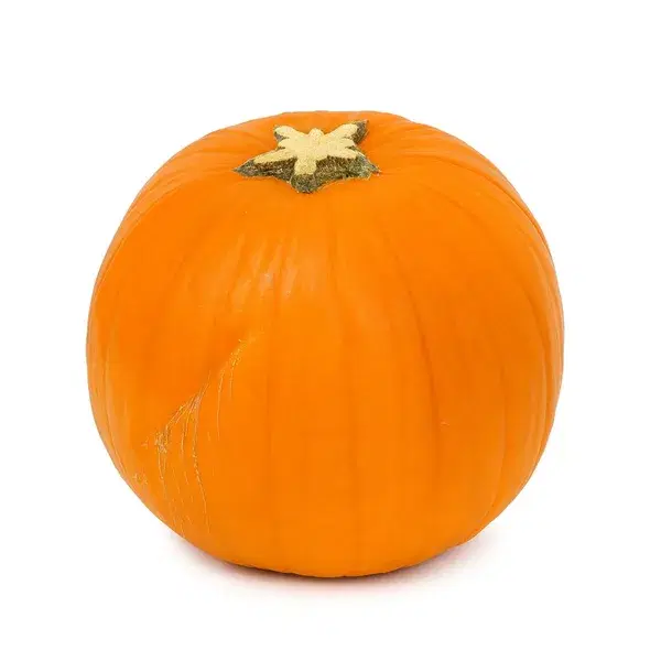 Halloween Pumpkin