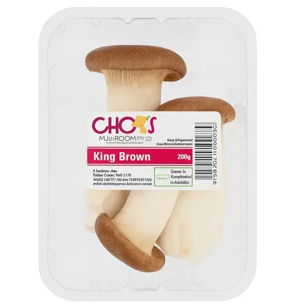 King Brown Mushroom
