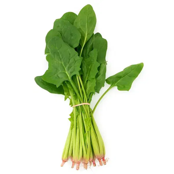 English Spinach
