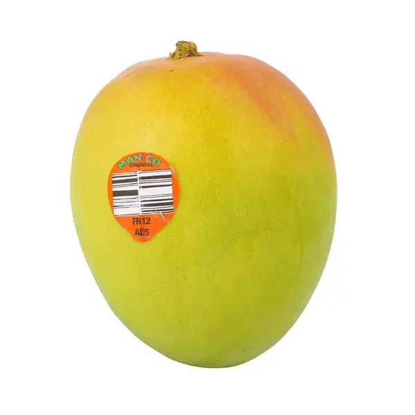 MANGO R2E2