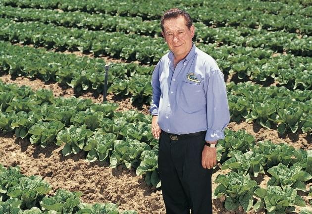 Tony Simonetta standing among rows of leafy crops.
