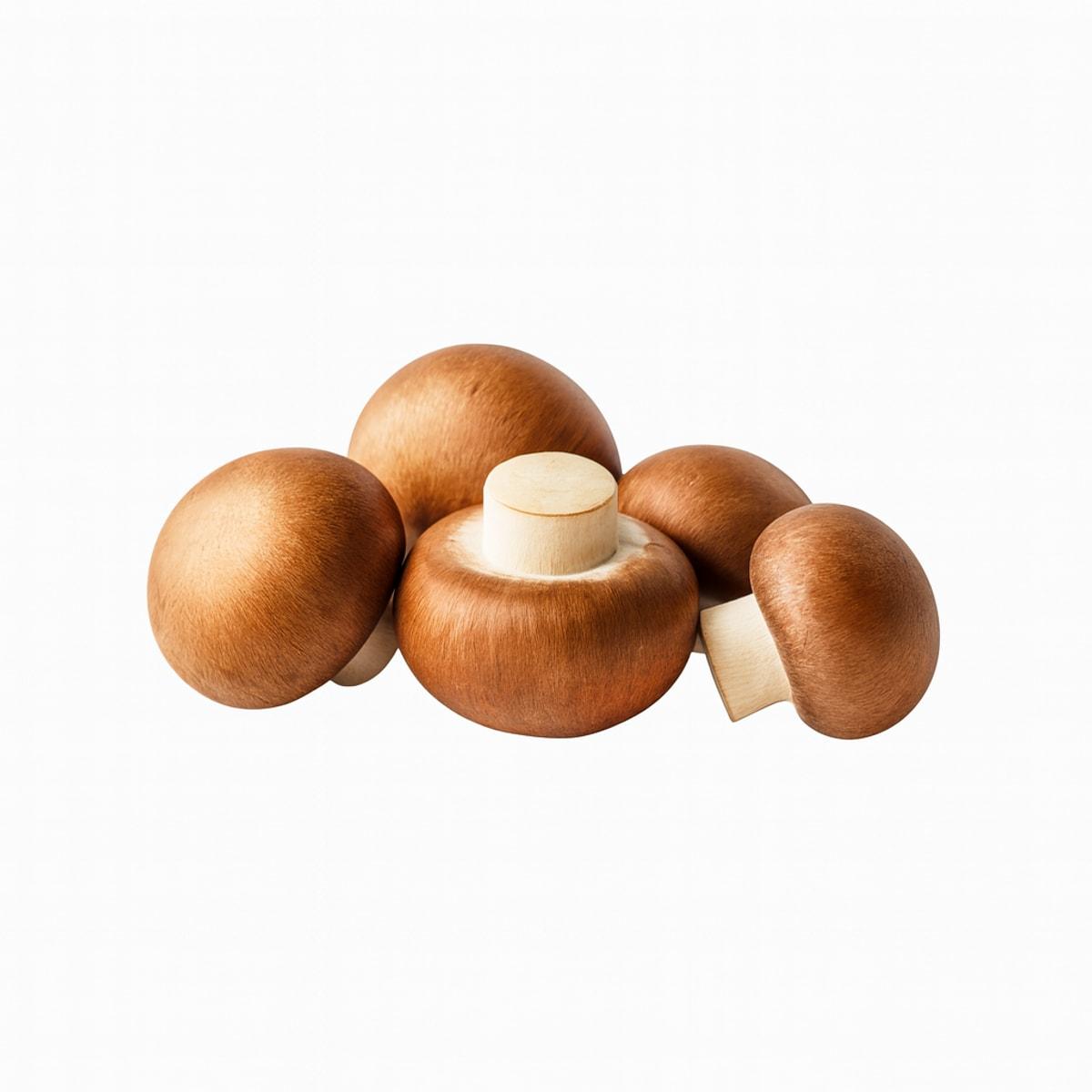 Mushroom Swiss Brown