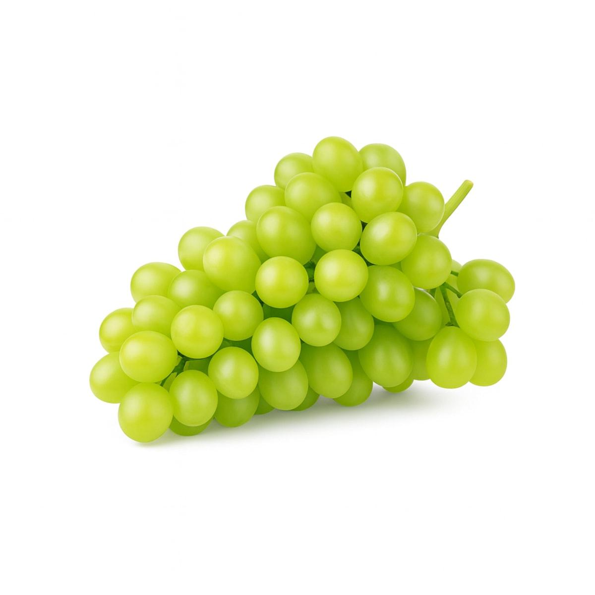WHITE GRAPE SEEDLESS SWEET GLOBE