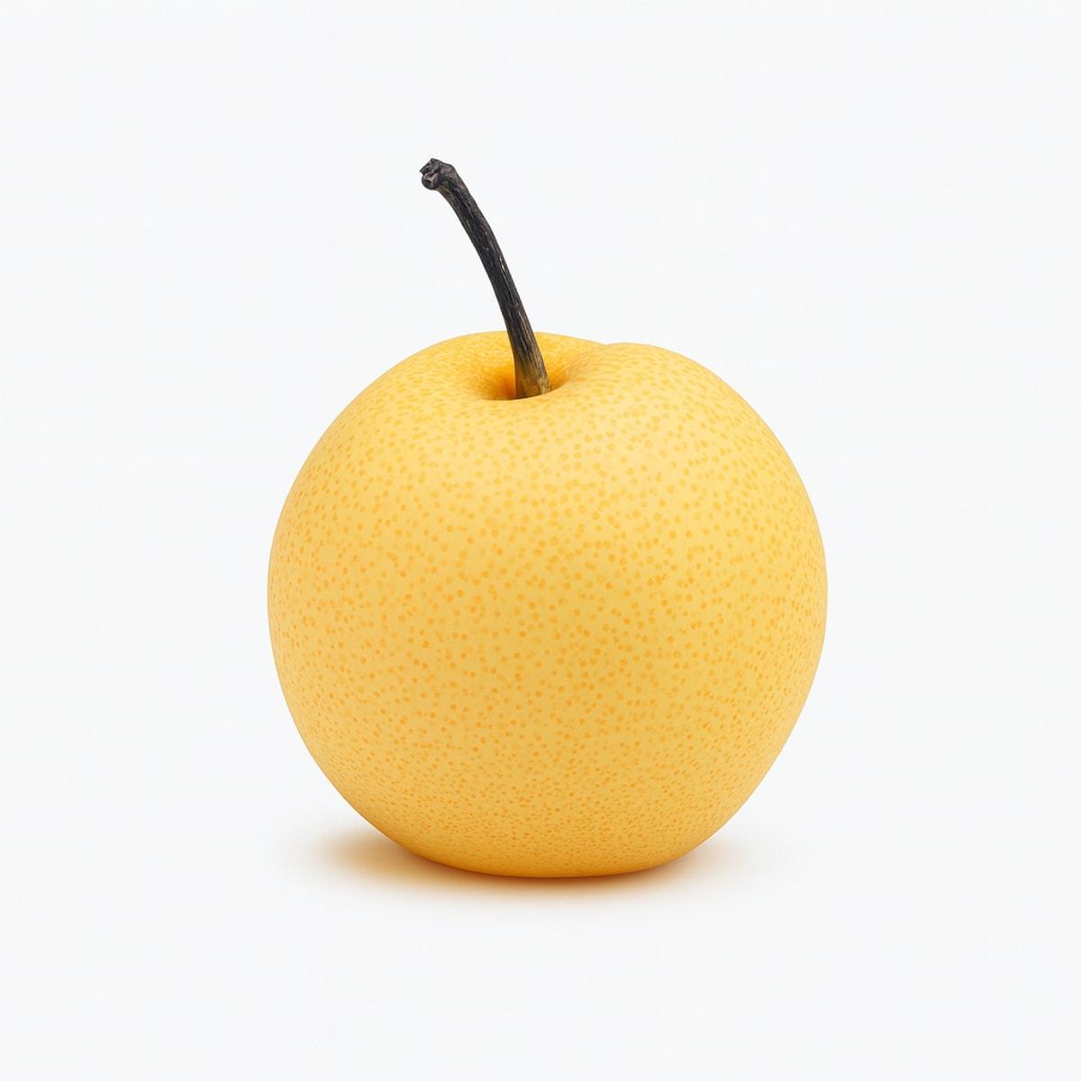 Nashi Pear