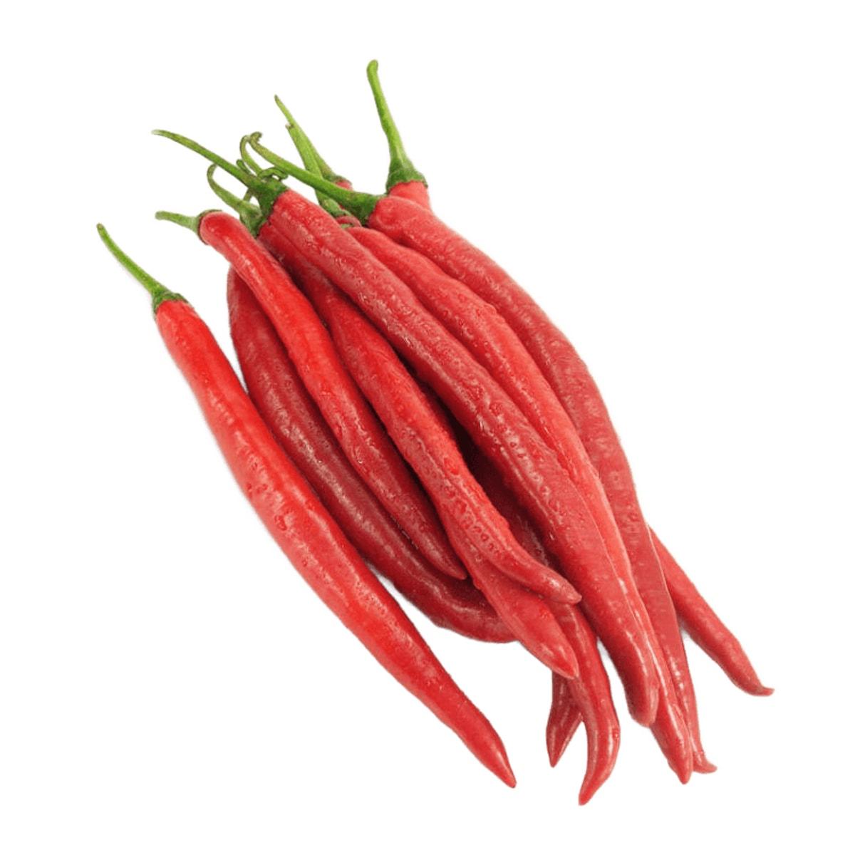 CHILLI LONG RED